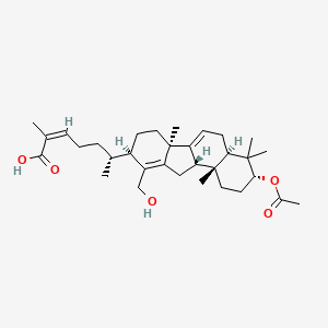 molecular formula C32H48O5 B13069658 KadcoccineacidN 