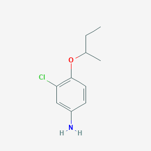 B13070611 4-(Butan-2-yloxy)-3-chloroaniline CAS No. 5493-77-6