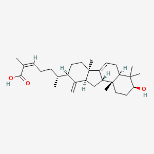 molecular formula C30H46O3 B13070905 KadcoccineacidD 