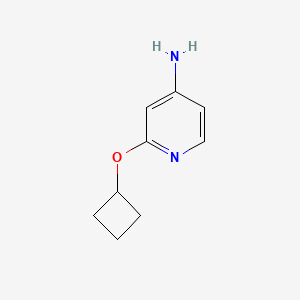 molecular formula C9H12N2O B13071306 2-Cyclobutoxypyridin-4-amine 