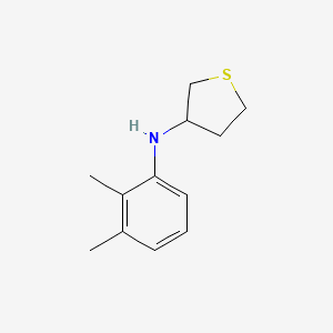 N-(2,3-dimethylphenyl)thiolan-3-amine