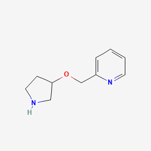 molecular formula C10H14N2O B13071665 2-[(Pyrrolidin-3-yloxy)methyl]pyridine 