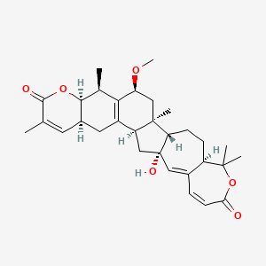 molecular formula C31H40O6 B13072373 Kadlongilactone e 