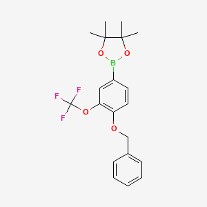 molecular formula C20H22BF3O4 B13072447 1,3,2-Dioxaborolane, 4,4,5,5-tetramethyl-2-[4-(phenylmethoxy)-3-(trifluoromethoxy)phenyl]- 