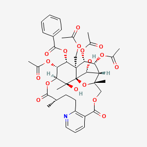 molecular formula C41H47NO17 B13072515 EuojaponineD 