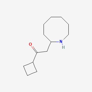 molecular formula C13H23NO B13072542 2-(Azocan-2-yl)-1-cyclobutylethan-1-one 