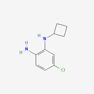 molecular formula C10H13ClN2 B13073539 5-Chloro-1-N-cyclobutylbenzene-1,2-diamine 