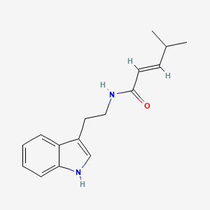 molecular formula C16H20N2O B13073612 (E)-N-[2-(1H-indol-3-yl)ethyl]-4-methylpent-2-enamide 