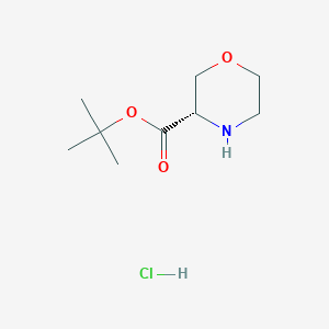 molecular formula C9H18ClNO3 B13075175 (S)-tert-butyl morpholine-3-carboxylate hydrochloride 