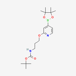 tert-Butyl (3-((4-(4,4,5,5-tetramethyl-1,3,2-dioxaborolan-2-yl)pyridin-2-yl)oxy)propyl)carbamate