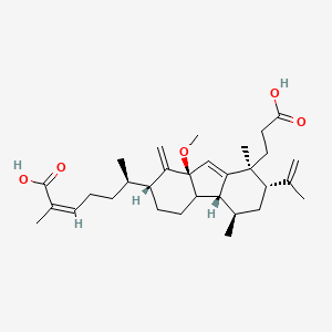 molecular formula C31H46O5 B13076134 KadcoccinicacidI 