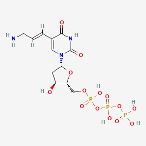 molecular formula C12H20N3O14P3 B13076835 ((2R,3S,5R)-5-(5-(3-Aminoprop-1-en-1-yl)-2,4-dioxo-3,4-dihydropyrimidin-1(2H)-yl)-3-hydroxytetrahydrofuran-2-yl)methyl tetrahydrogen triphosphate 