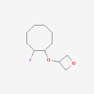 molecular formula C11H19IO2 B13077001 3-[(2-Iodocyclooctyl)oxy]oxetane 