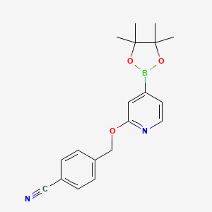 4-(((4-(4,4,5,5-Tetramethyl-1,3,2-dioxaborolan-2-yl)pyridin-2-yl)oxy)methyl)benzonitrile