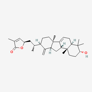 molecular formula C30H44O3 B13077576 KadcoccineacidH 