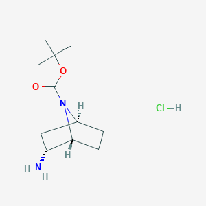 molecular formula C11H21ClN2O2 B13077907 tert-Butylrac-(1S,2S,4R)-2-amino-7-azabicyclo[2.2.1]heptane-7-carboxylatehydrochloride 