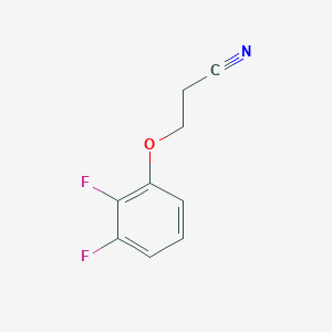 molecular formula C9H7F2NO B13077997 3-(2,3-Difluoro-phenoxy)propanenitrile 