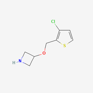 molecular formula C8H10ClNOS B13078648 3-[(3-Chlorothiophen-2-yl)methoxy]azetidine 