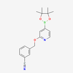 3-(((4-(4,4,5,5-Tetramethyl-1,3,2-dioxaborolan-2-yl)pyridin-2-yl)oxy)methyl)benzonitrile