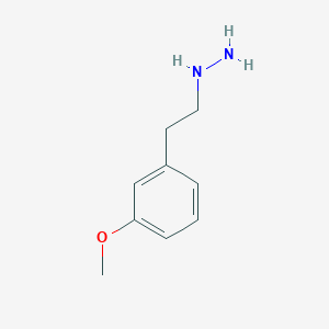 molecular formula C9H14N2O B13079760 (3-Methoxyphenethyl)hydrazine 