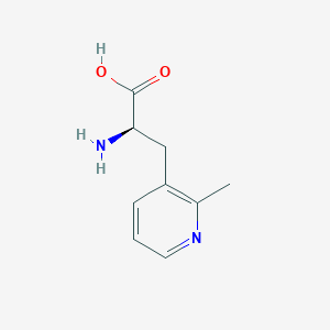 molecular formula C9H12N2O2 B13080228 (2R)-2-amino-3-(2-methylpyridin-3-yl)propanoic acid 