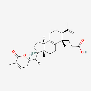 molecular formula C30H44O4 B13080378 SchisanlactoneF 