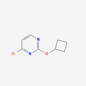 molecular formula C8H9BrN2O B13080401 4-Bromo-2-(cyclobutoxy)pyrimidine 