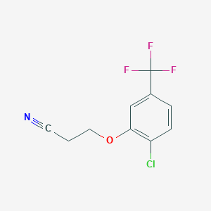 molecular formula C10H7ClF3NO B13080653 3-[2-Chloro-5-(trifluoromethyl)-phenoxy]propanenitrile 