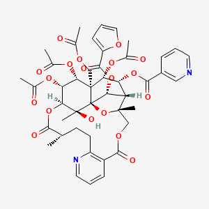 molecular formula C45H48N2O19 B13080710 HyponineE 