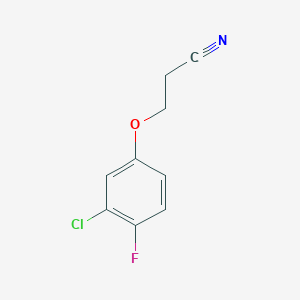 molecular formula C9H7ClFNO B13081047 3-(3-Chloro-4-fluoro-phenoxy)propanenitrile 