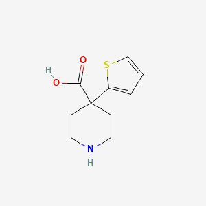 molecular formula C10H13NO2S B13081094 4-(Thiophen-2-yl)piperidine-4-carboxylic acid 