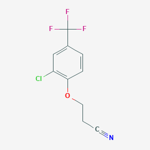 molecular formula C10H7ClF3NO B13082171 3-[2-Chloro-4-(trifluoromethyl)-phenoxy]propanenitrile 