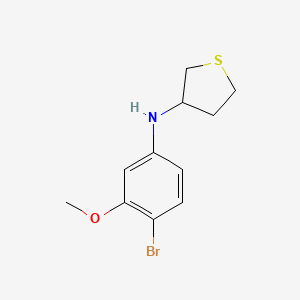 molecular formula C11H14BrNOS B13082435 N-(4-Bromo-3-methoxyphenyl)thiolan-3-amine 