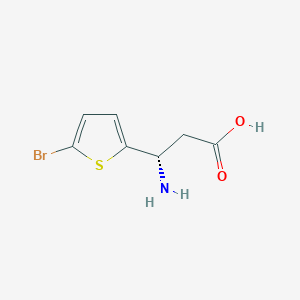 molecular formula C7H8BrNO2S B13082627 (3S)-3-Amino-3-(5-bromothiophen-2-YL)propanoic acid 