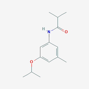 molecular formula C14H21NO2 B13083193 2-Methyl-N-[3-methyl-5-(propan-2-yloxy)phenyl]propanamide 