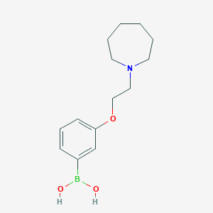 molecular formula C14H22BNO3 B13083541 {3-[2-(Azepan-1-yl)ethoxy]phenyl}boronic acid 