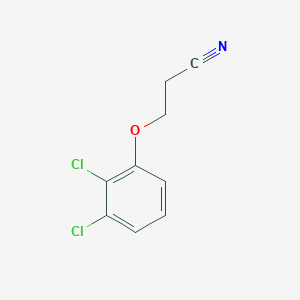 molecular formula C9H7Cl2NO B13083593 3-(2,3-Dichloro-phenoxy)propanenitrile 