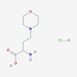 molecular formula C8H17ClN2O3 B13084041 2-Amino-4-morpholinobutanoic acid hydrochloride 