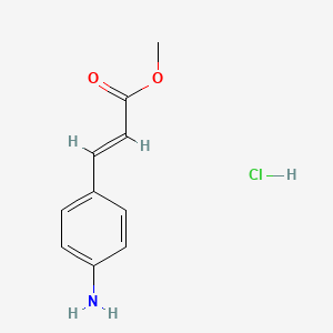 molecular formula C10H12ClNO2 B13084382 Methyl3-(4-aminophenyl)acrylatehydrochloride 