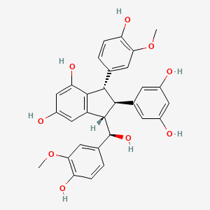 GnemontaninE