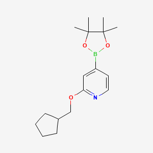 2-(Cyclopentylmethoxy)-4-(4,4,5,5-tetramethyl-1,3,2-dioxaborolan-2-yl)pyridine