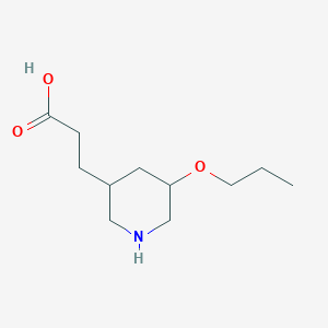 3-(5-Propoxypiperidin-3-yl)propanoic acid