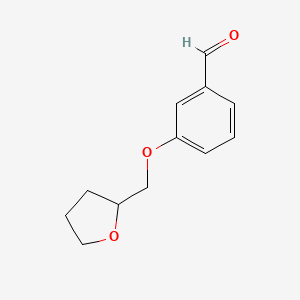 molecular formula C12H14O3 B1308969 3-(四氢呋喃-2-基甲氧基)-苯甲醛 CAS No. 883547-09-9