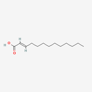 B1309146 2-Tridecenoic acid CAS No. 6969-16-0