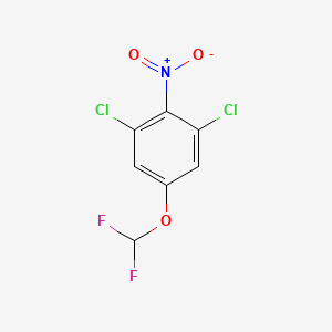 1,3-Dichloro-5-(difluoromethoxy)-2-nitrobenzene