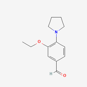 molecular formula C13H17NO2 B1310273 3-乙氧基-4-吡咯烷-1-基-苯甲醛 CAS No. 879047-62-8