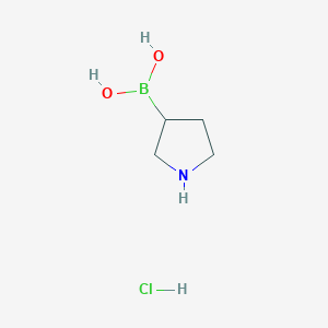 molecular formula C4H11BClNO2 B13109164 Pyrrolidin-3-ylboronicacidhydrochloride 