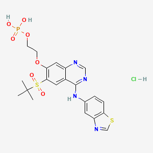 molecular formula C21H24ClN4O7PS2 B13109775 2-((4-(Benzo[d]thiazol-5-ylamino)-6-(tert-butylsulfonyl)quinazolin-7-yl)oxy)ethyl dihydrogen phosphate hydrochloride CAS No. 1579965-19-7