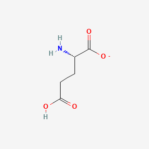 molecular formula C5H8NO4- B13113755 L-Glutamic acid, ion(1-) CAS No. 11070-68-1