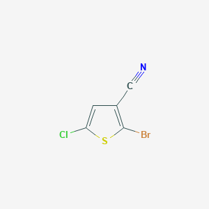 molecular formula C5HBrClNS B13114541 2-Bromo-5-chlorothiophene-3-carbonitrile 